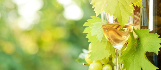 vin d Alsace