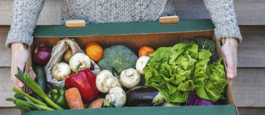 légumes frais